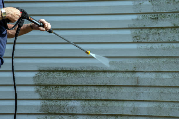 Best Garage Pressure Washing  in Bay Pines, FL