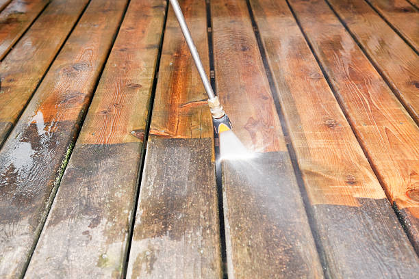 Best Affordable Power Washing  in Bay Pines, FL